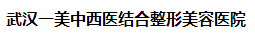 武汉一美中西医结合整形美容医院