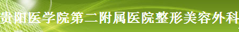 贵阳医学院第二附属医院整形美容外科