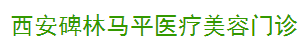 西安碑林马平医疗美容门诊